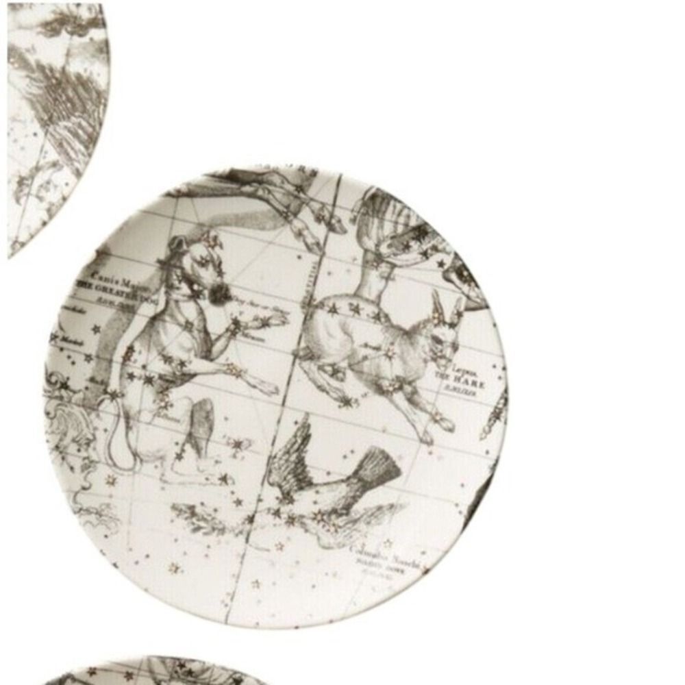 Anthropologie Salt and Earth Appetizer Dessert Plate White Gold Constellation